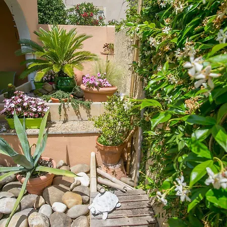 酒店 贝尔绿树酒店