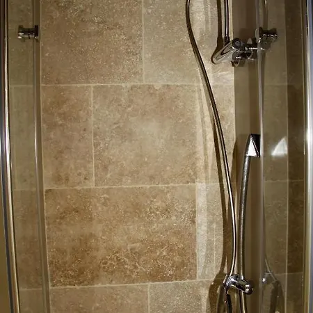 酒店 贝尔绿树酒店